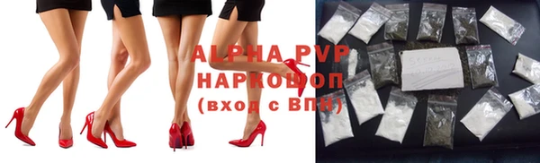 ГАЛЛЮЦИНОГЕННЫЕ ГРИБЫ Тавда