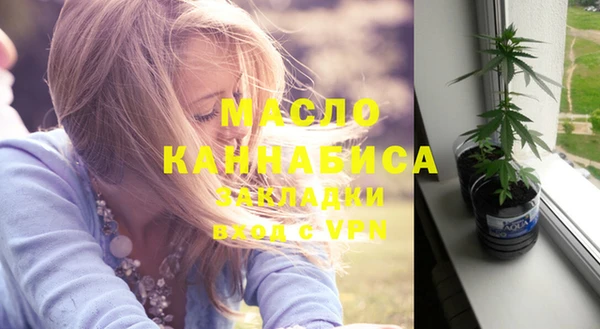 сатива Сясьстрой