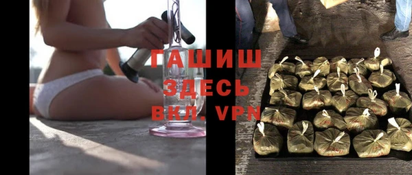 сатива Сясьстрой