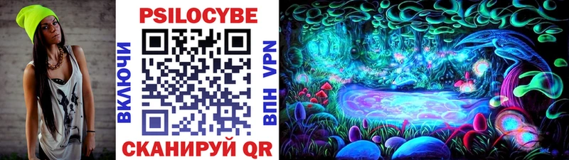 Купить закладки  Сретенск  Галлюциногенные грибы GOLDEN TEACHER 